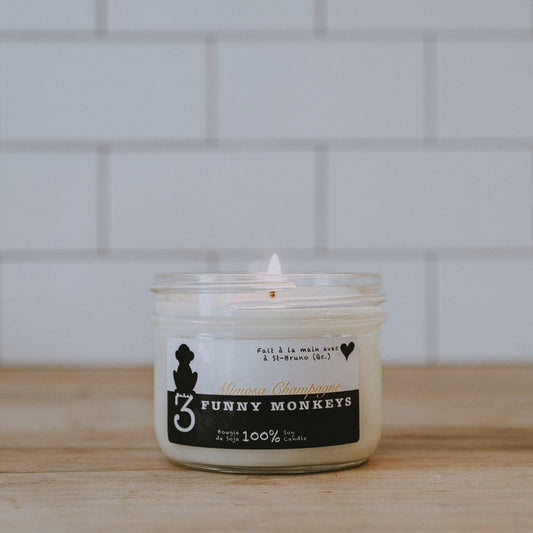 Mimosa Champagne, soy candle 