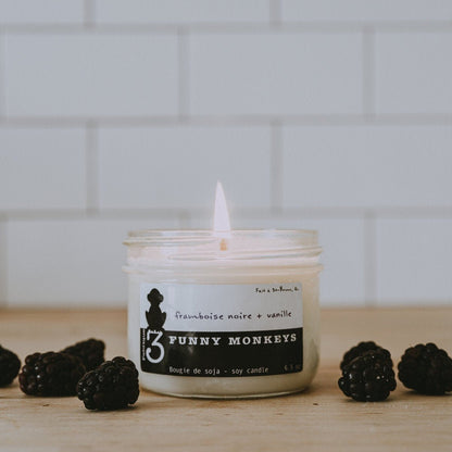 Black Raspberry - Vanilla, Soy Candle 