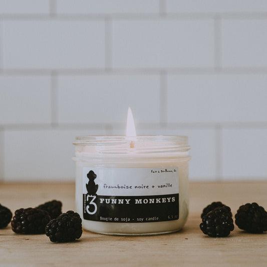Black Raspberry - Vanilla, Soy Candle 
