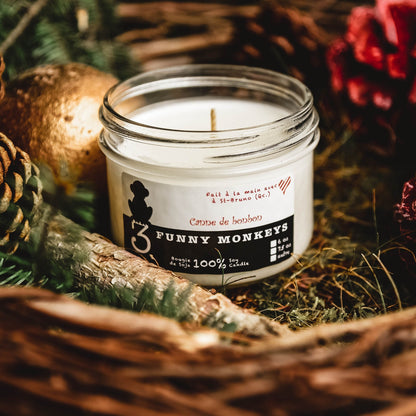 Candy cane, soy candle