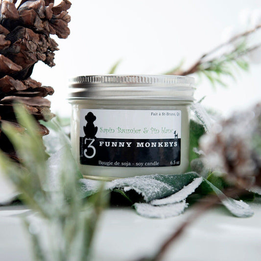 Balsam fir + White pine, soy candle 
